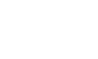 SAS Excelence