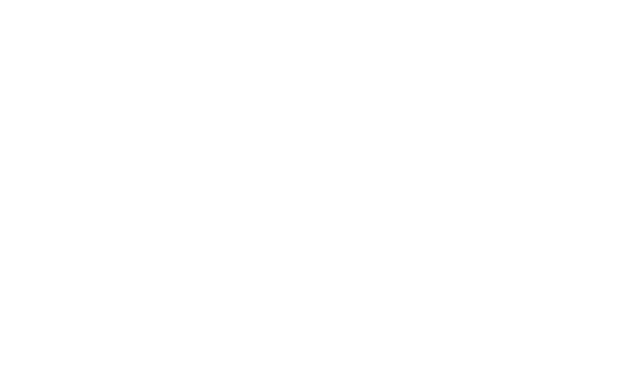SAS Excelence Logo